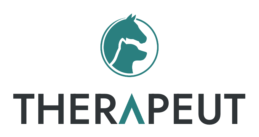 Therapeut:in